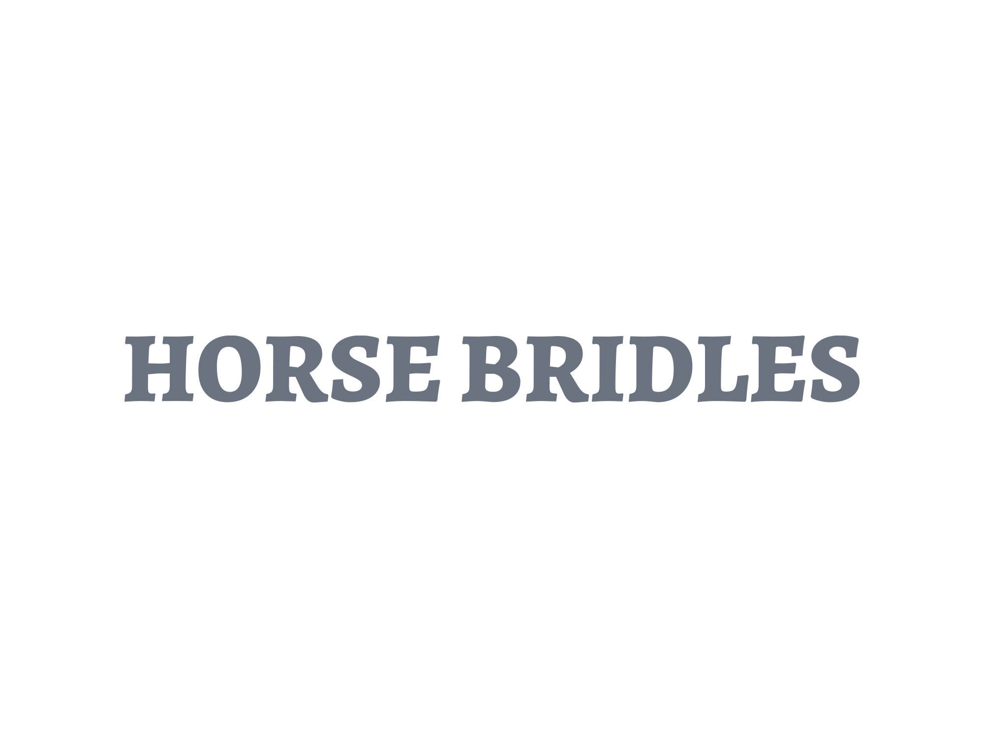 A beginners Guide to Horse Bridles